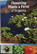Flora van Sint Helena, Ophalen, Nieuw, Natuurwetenschap, Phil Lambdon