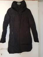 Donsjas Zara maat M, Kleding | Dames, Jassen | Winter, Nieuw, Ophalen, Maat 38/40 (M), Zara