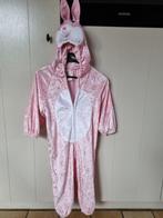 Konijnepakje roze, Enlèvement, Utilisé, 104 ou plus petit, Garçon ou Fille