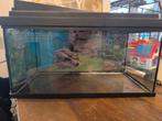 Aquarium 60 cm, Dieren en Toebehoren, Vissen | Aquaria en Toebehoren, Ophalen, Zo goed als nieuw