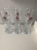 6 verres PAULANER, 50 cl, Enlèvement ou Envoi, Neuf