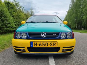 Volkswagen Polo 6N Morette grille + koplampen te koop! beschikbaar voor biedingen