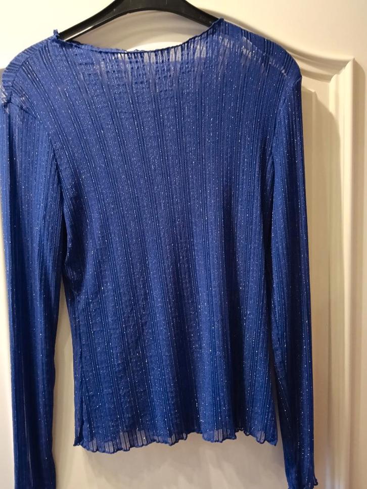 Top bleu à paillettes., Vêtements | Femmes, Costumes de carnaval & Vêtements de fête, Comme neuf, Vêtements, Taille 38/40 (M)