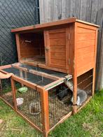 2 konijnen met konijnen hok €50, Dieren en Toebehoren, Ophalen, Zo goed als nieuw, Hok