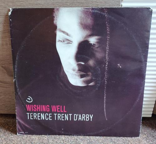 Terence Trent D'Arby – Wishing Well (12'' Vinyl), Cd's en Dvd's, Vinyl | Pop, Verzenden