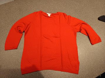 Rood truitje maat L beschikbaar voor biedingen