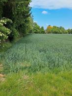 Terrain à vendre à oupeye, Immo