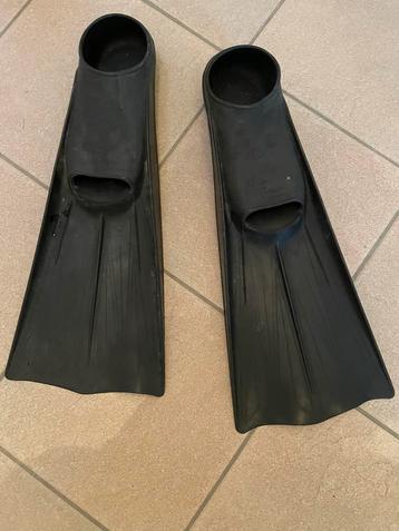 Palmes noires  beschikbaar voor biedingen