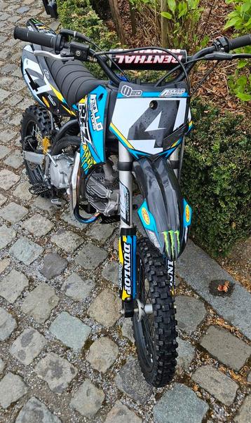 Pitbike daytona anima 190cc beschikbaar voor biedingen