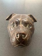 pitbull , bully am staff hoofd, Ophalen of Verzenden, Zo goed als nieuw