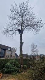 Bomen kappen/snoeien/vellen, Entretien de jardins ou Taille, Garantie