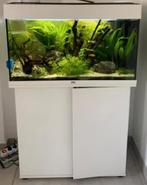 Juwel rio 125 led - model 2025, Dieren en Toebehoren, Ophalen