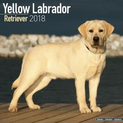 Calendrier du Labrador Retriever 2018, Divers, Calendriers, Neuf, Calendrier annuel, Envoi