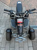 Mini quad, Motoren, Quads en Trikes