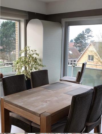 Table en teck 1,60 m sur 1 m, Maison & Meubles, Tables | Tables à manger, Enlèvement, Utilisé, Cinq personnes ou plus