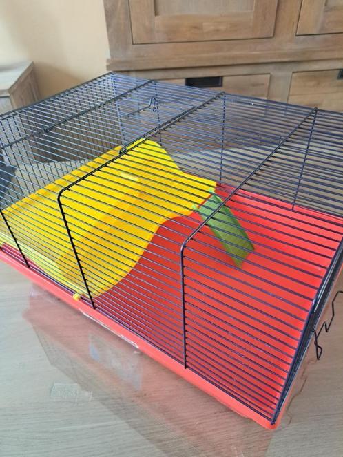 2 hamsterkooien compleet met veel toebehoren, Animaux & Accessoires, Rongeurs & Lapins | Cages & Clapiers, Comme neuf, Cage, Moins de 60 cm
