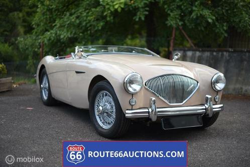 Austin-healey 100 1954| Route 66 Auctions, Auto's, Oldtimers, Bedrijf, Te koop, Open dak, Overige merken, Benzine, Cabriolet, 2 deurs