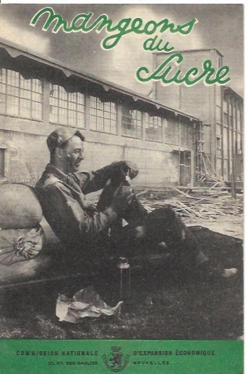 Mangeons du sucre - Docteur Louis Delaterre, Boeken, Gezondheid, Dieet en Voeding, Zo goed als nieuw, Dieet en Voeding, Verzenden