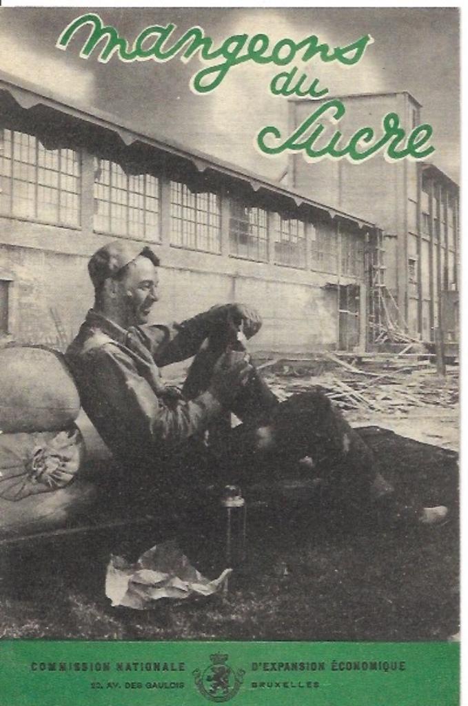 Mangeons du sucre - Docteur Louis Delaterre, Boeken, Gezondheid, Dieet en Voeding, Zo goed als nieuw, Dieet en Voeding, Verzenden