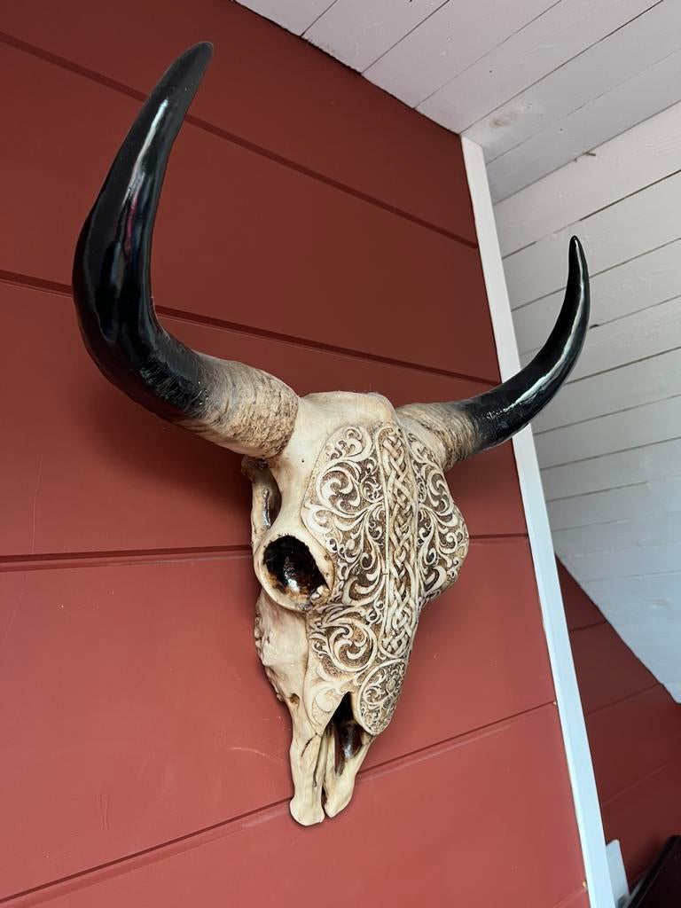 Décoration en forme de tête de mort, Enlèvement, Comme neuf