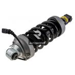 RECHTS ACHTER SCHOKDEMPER Audi R8/R8 Spyder 420512020AM, AUDI AG, Audi, Kundenbetreuung@audi.de, Nieuw