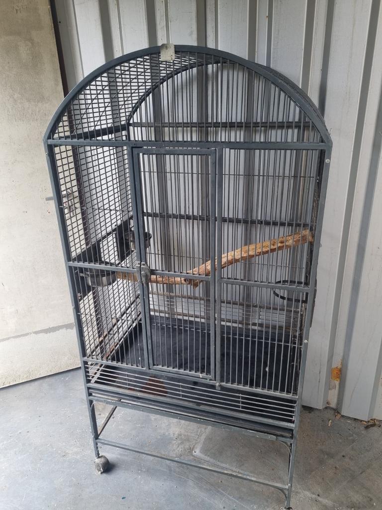 Ruime Papegaaienkooi (160x80x60) op wielen, Dieren en Toebehoren, Vogels | Hokken en Kooien, Zo goed als nieuw, Vogelkooi, Ophalen