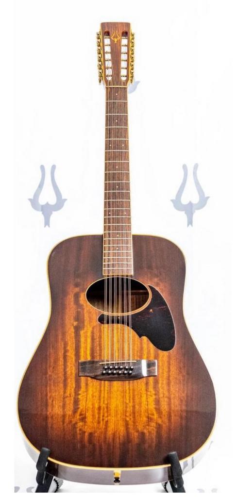 Gezocht - DAION THE YEAR ‘80 12 String, Ophalen of Verzenden, Zo goed als nieuw