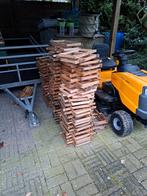 Broedramen simplex, Bijen