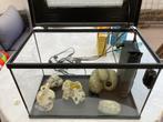 Aquarium  50L, Animaux & Accessoires, Enlèvement, Utilisé, Autres types