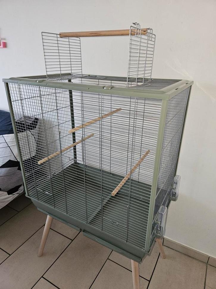 Cage, Animaux & Accessoires, Oiseaux | Cages & Volières, Enlèvement