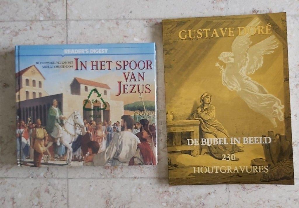 Bijbel, Livres, Religion & Théologie, Neuf, Christianisme | Catholique, Enlèvement