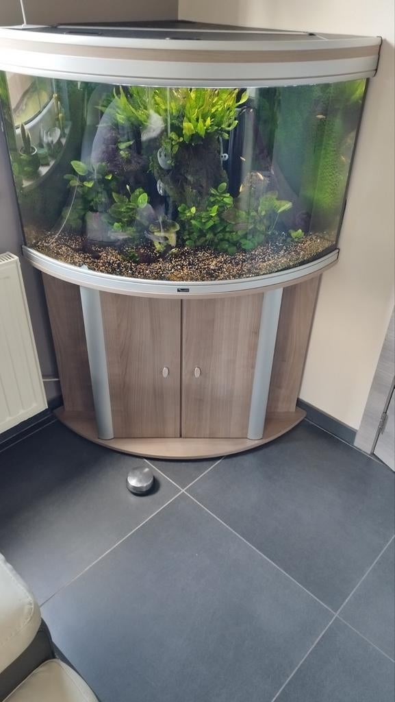 Aquarium d angle  aquatlantis 190l, Animaux & Accessoires, Enlèvement, Pompe, Aquatlantis