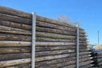 poteaux de prairie de 3 m 6 à 7 cm de diamètre, Enlèvement, Utilisé, 250 cm ou plus, Poteaux
