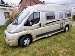Rollerteam Livingstone Fiat airco cruise control zonnepaneel, Buscamper of Camperbus, Ringverwarming, Fiat, Diesel