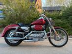 Prachtige Harley Sportster Hugger 883, Motoren, 2 cilinders, Chopper, Gebruikt, Particulier