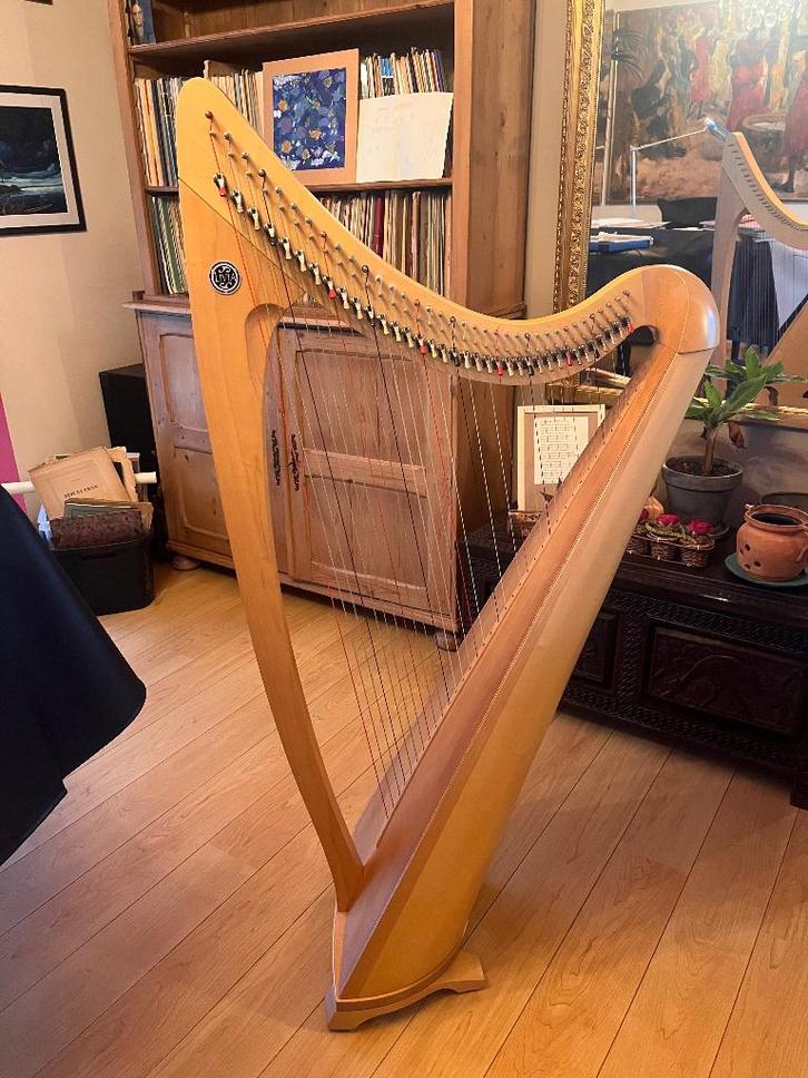 Harpe celtique professionnelle Livia de Salvi, Musique & Instruments, Instruments à corde | Harpes, Comme neuf, Enlèvement