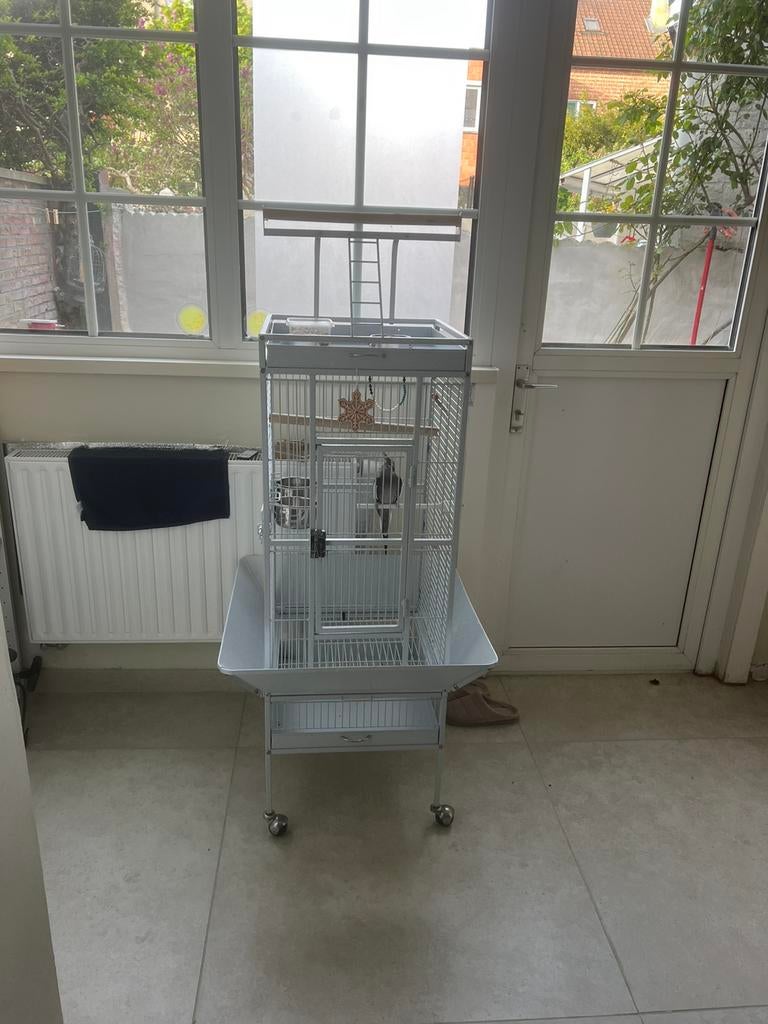 Grande cage calopssite ou petit perroquet, Enlèvement, Comme neuf