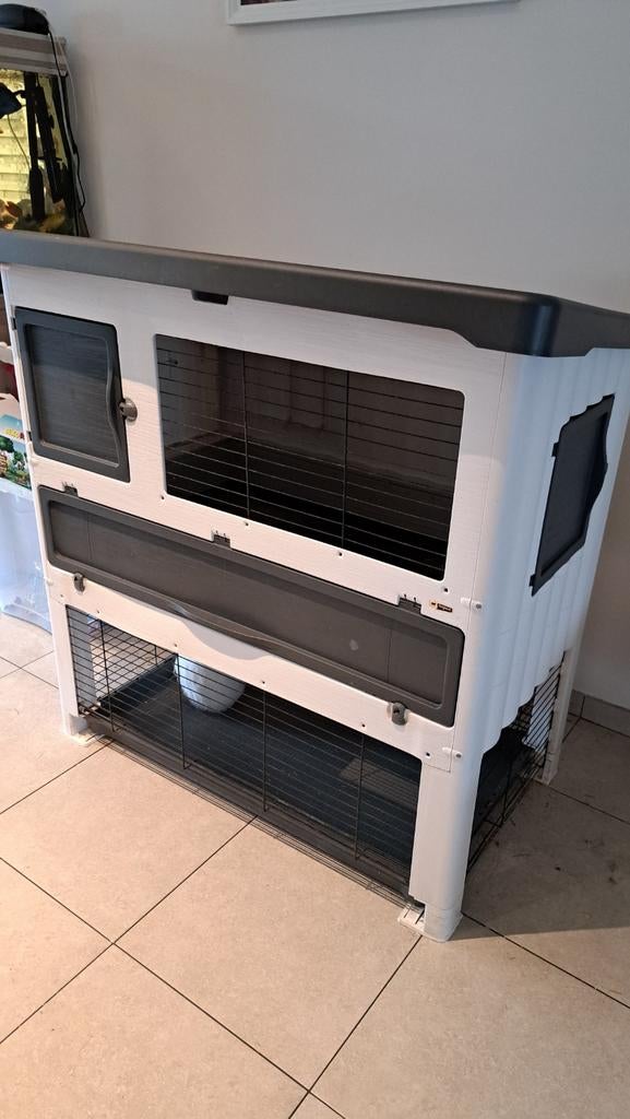 Konijnenhok, Enlèvement