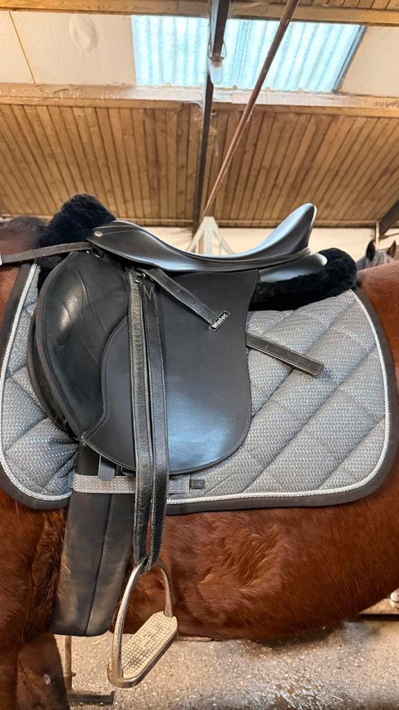 Selle polyvalente, Animaux & Accessoires, Chevaux & Poneys | Selles, Comme neuf, Dressage, Enlèvement ou Envoi