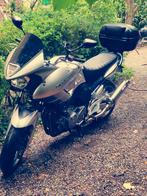 Yamaha TDM 900 ABS - 2009 - 42.565 km, Motoren, 2 cilinders, Motorrijbewijs A, 900 cc, Particulier