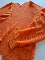 Nieuwe oranje zomer cardigan, Kleding | Dames, Truien en Vesten, Ophalen of Verzenden, Nieuw, Maat 38/40 (M), Oranje