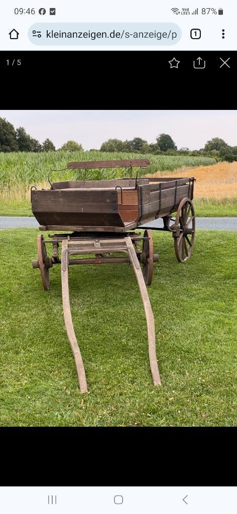 Calèche à vendre, Animaux & Accessoires, Voitures & Carrosses, Comme neuf, Wagonette, Cheval