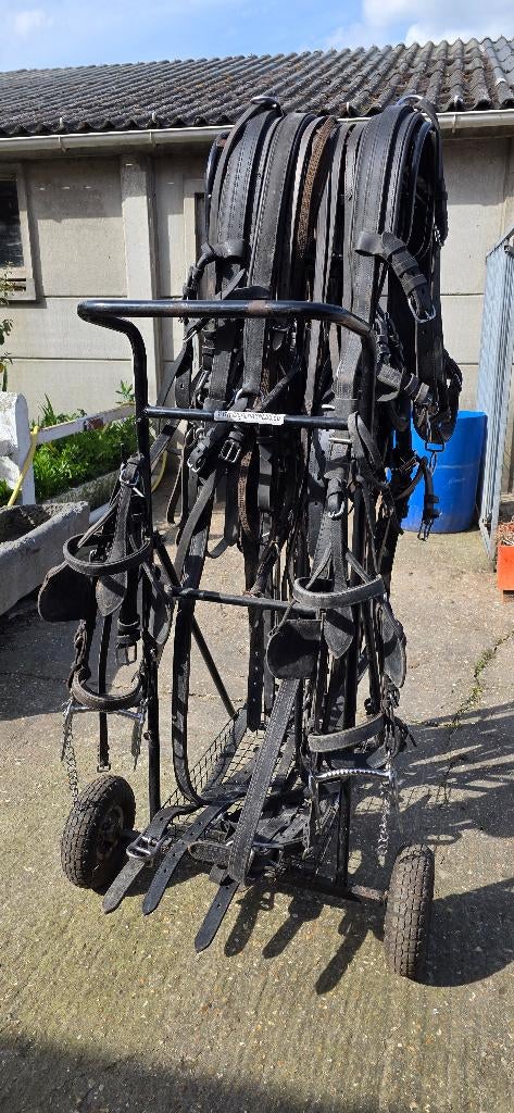 Dubbelspan mentuig leder ideal equestrian, Dieren en Toebehoren, Paarden en Pony's | Hoofdstellen en Tuigage, Gebruikt, Ophalen