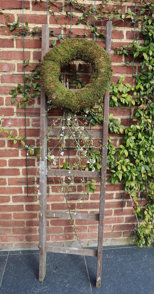 DIVERSE HOUTEN LADDERS / 20 EU PER STUK, Ophalen, Gebruikt