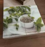 Glazen afdekplaat fornuis ( hittebestendig), Ophalen of Verzenden, Zo goed als nieuw