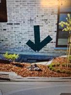 Mazout te koop, Enlèvement