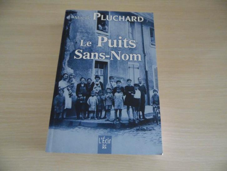 LE PUITS SANS-NOM        MIREILLE PLUCHARD, Livres, Romans, Comme neuf, Europe autre, Enlèvement ou Envoi