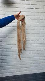 Vintage bontstola / bontsjaal, Kleding | Dames, Mutsen, Sjaals en Handschoenen, Ophalen, Gedragen, Sjaal