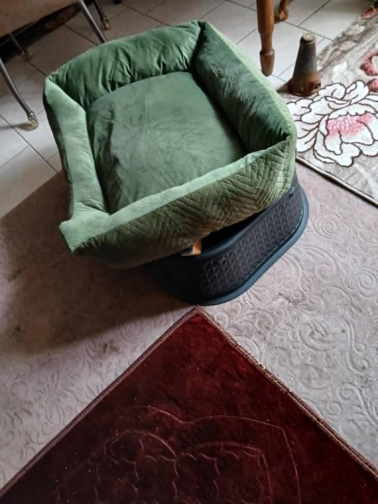 Panier de Luxe + Coussin >  Chien, Enlèvement, Comme neuf