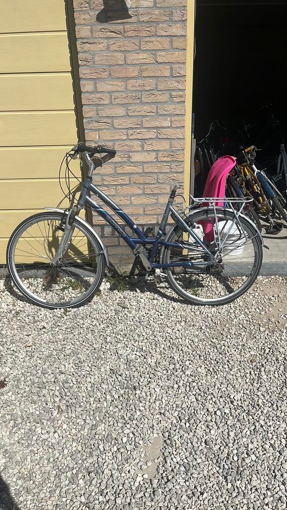 Fiets zonder zadel, Fietsen en Brommers, 20 inch of meer, Velgrem, Versnellingen, Zo goed als nieuw
